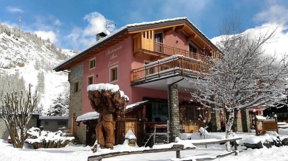 Hibou Chambres - Cogne Exteriör bild